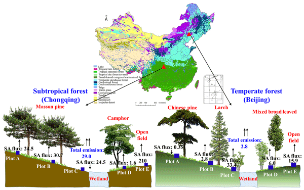 ACP Relations Soil atmosphere Exchange Flux Of Total Gaseous 