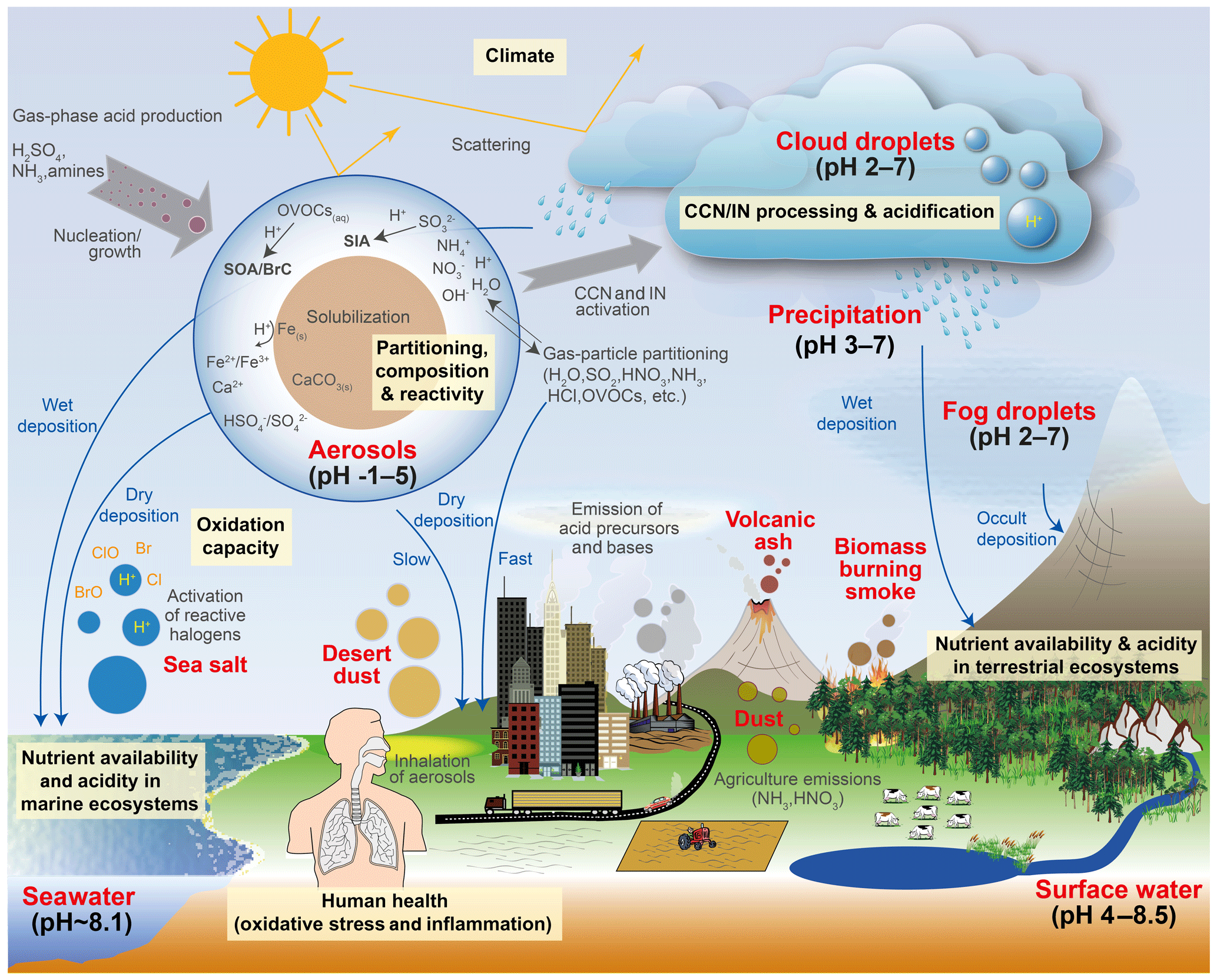ACP The Acidity Of Atmospheric Particles And Clouds ACP The Acidity Of Atmospheric Particles And Clouds