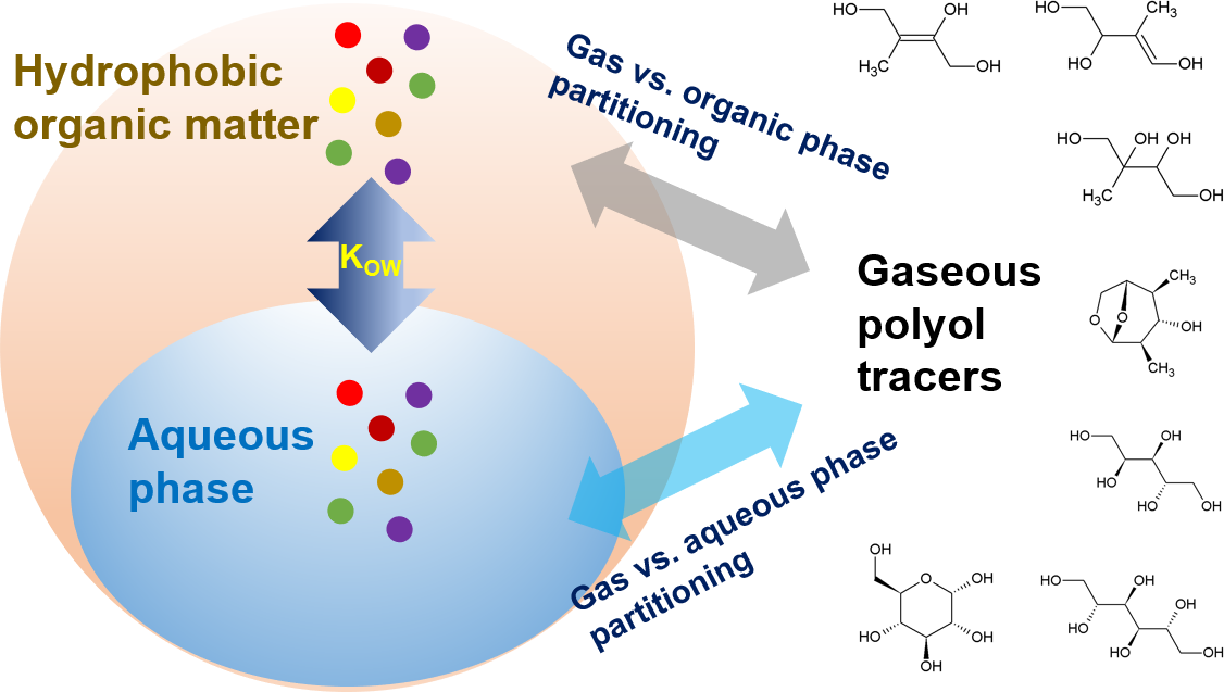 Gas-Particle Uptake and Hygroscopic Growth by Organosulfate Particles