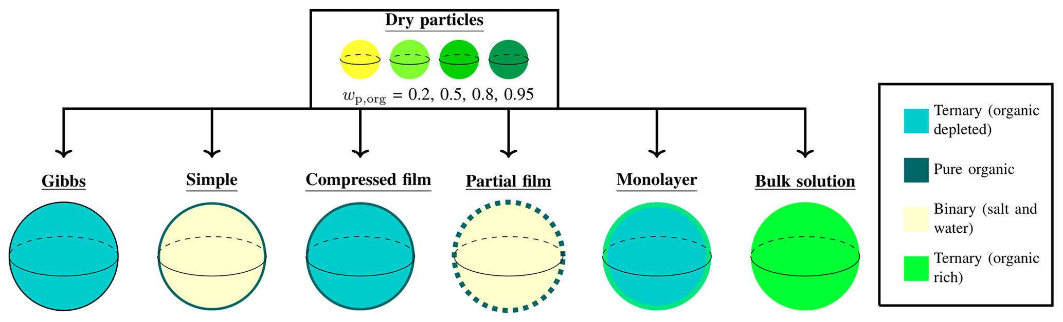 Graphical abstract from the paper 'Comparison of six approaches to predicting droplet activation of surface active aerosol – Part 1: moderately surface active organics​​​​​​​'. The figure shows the initial dry particles at a range of compositions (represented by the different colors of the particles), and the different models used to predict droplet critical properties. The different models are described at some point of droplet growth before activation, with the different colors of the droplet bulks or surfaces indicating differences in composition.