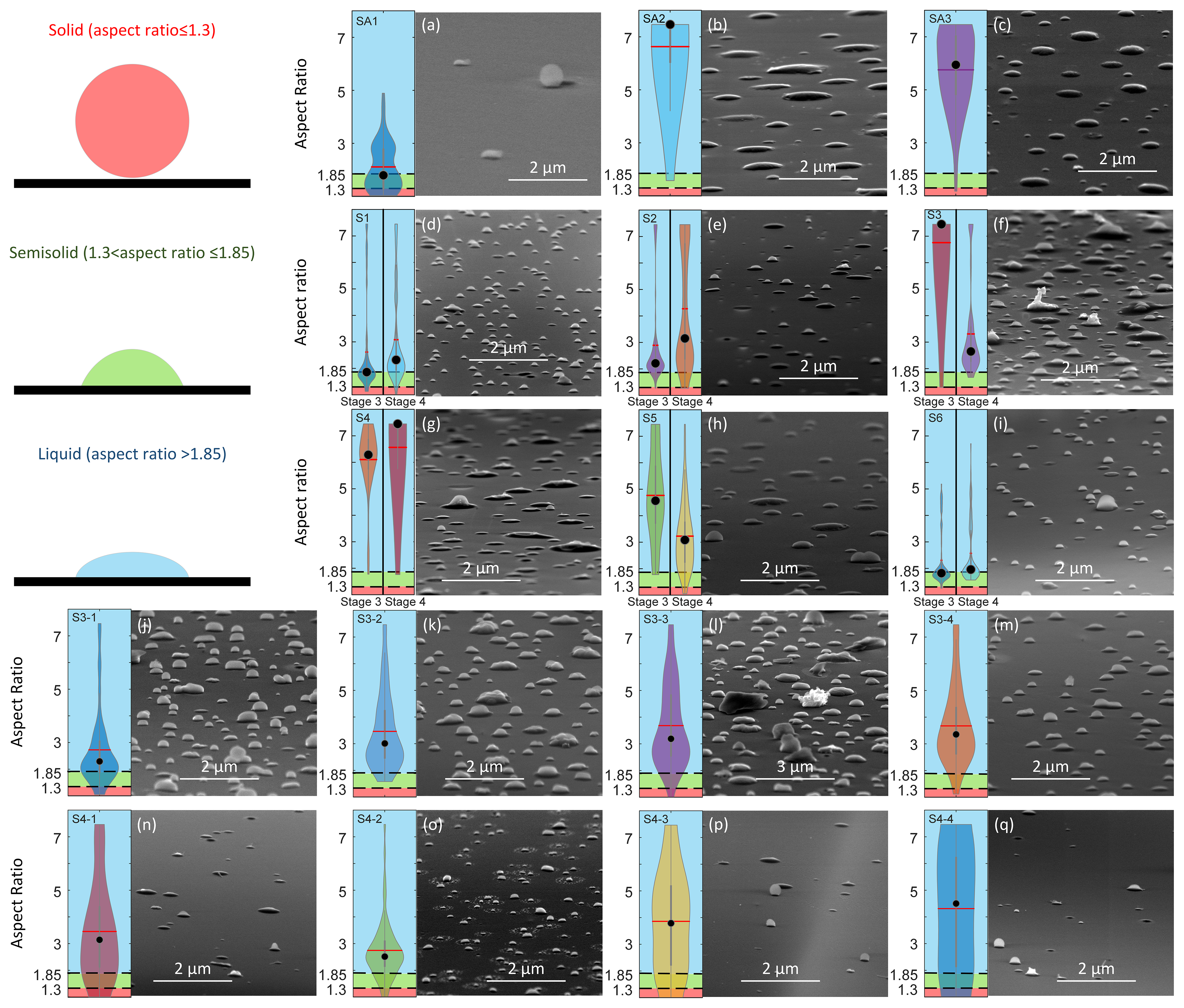 ACP Particle phase state variability in the North Atlantic free