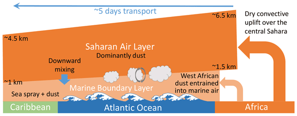 ACP - Relations - The ice-nucleating activity of African mineral dust in  the Caribbean boundary layer