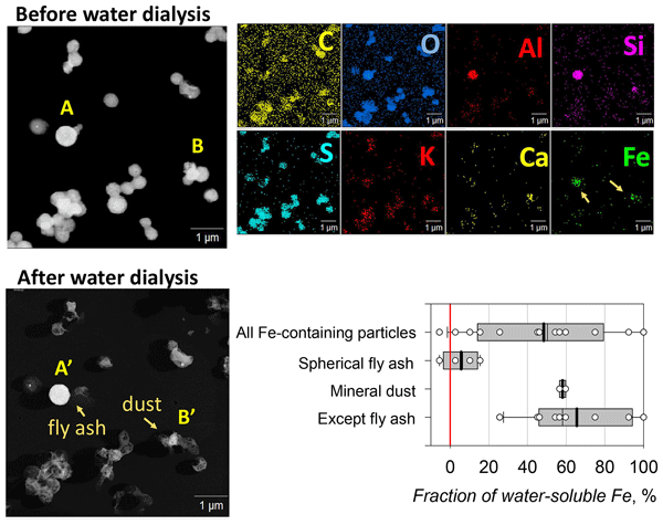 ACP - Relations - Morphological features and water solubility of 