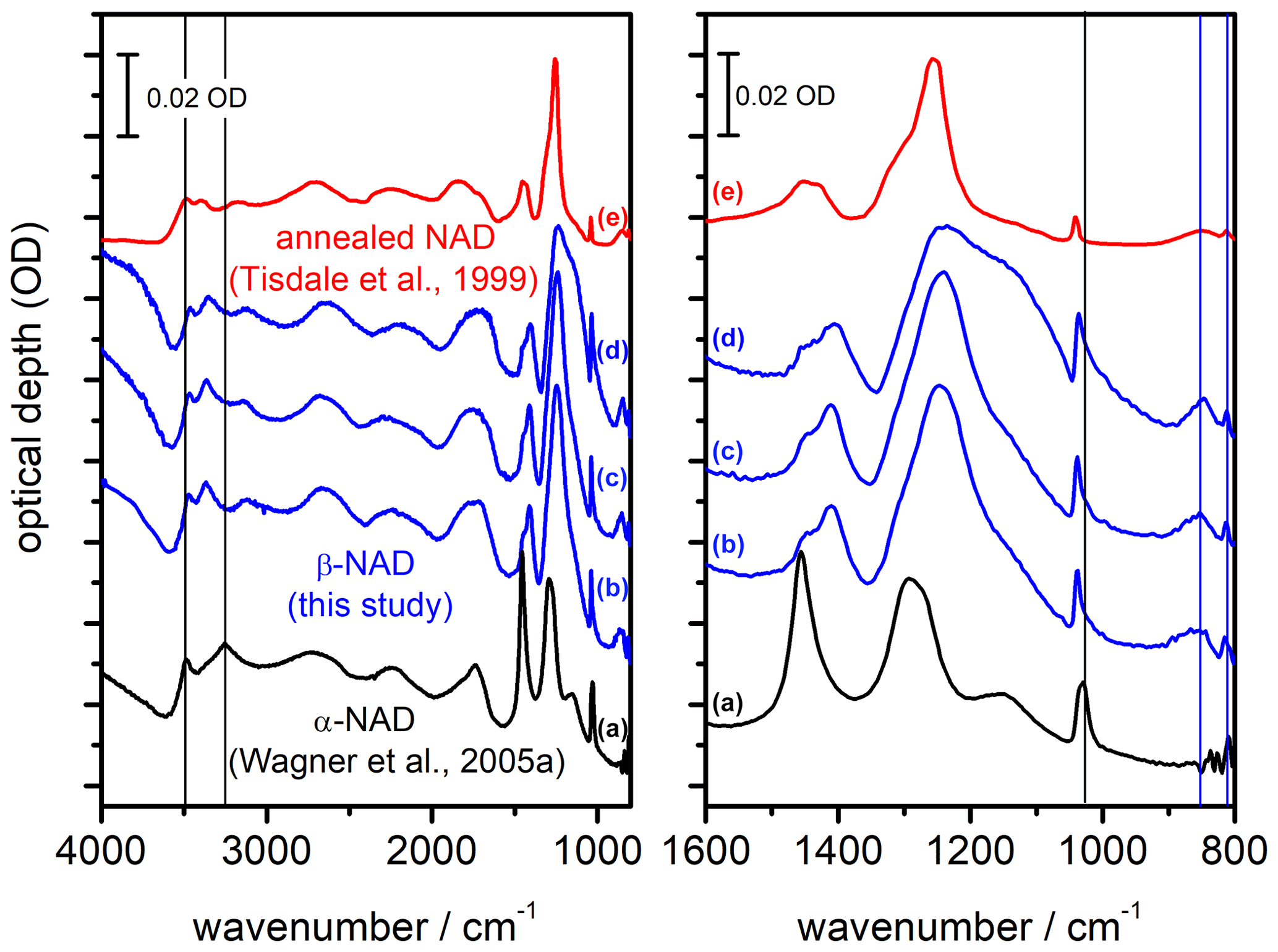 ACP - Particle shapes and infrared extinction spectra of nitric