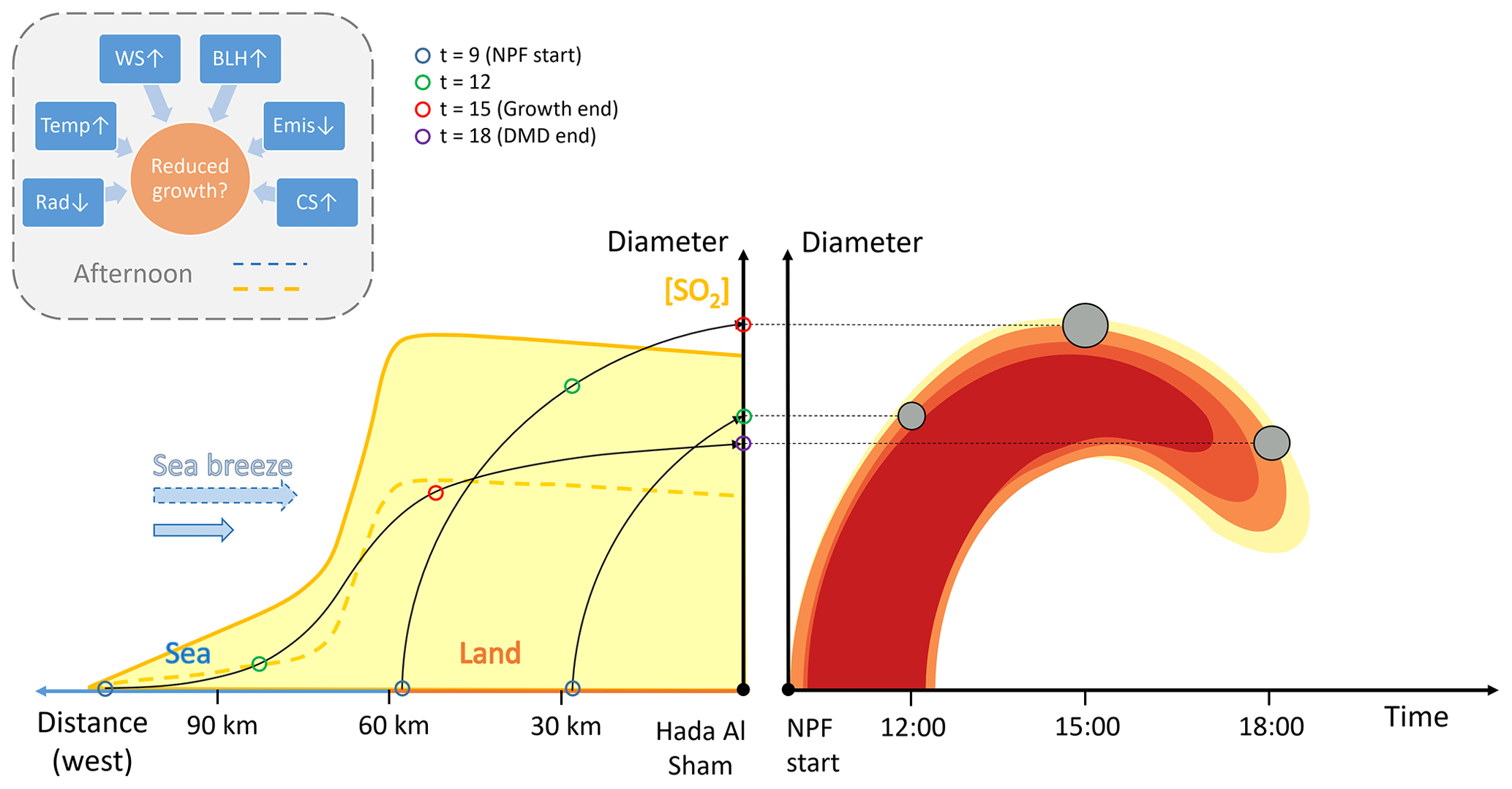 ACP - Explaining apparent particle shrinkage related to new