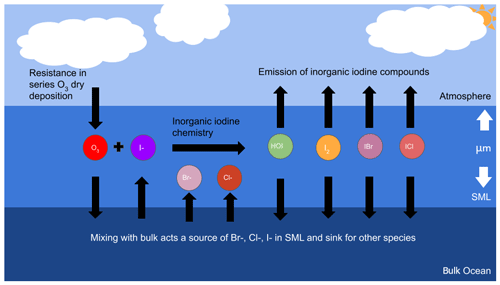 https://acp.copernicus.org/articles/24/9899/2024/acp-24-9899-2024-f01